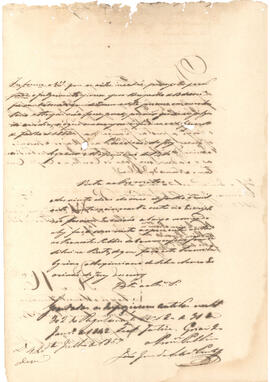 Tribunal do Juri da Comarca de Goyaz - A Justiça X Manoel Francisco - 1857  (42)